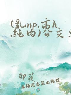 (乱np,高h,纯肉)公交车群p