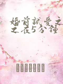 婚前试爱之新婚之夜5分钟