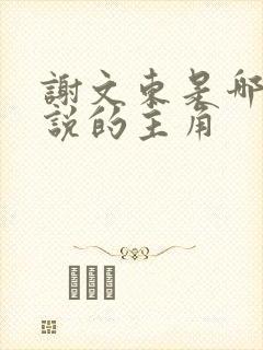 谢文东是哪部小说的主角