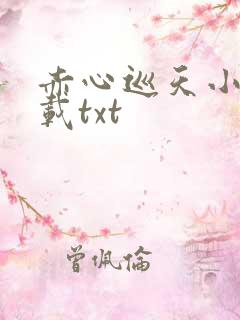 赤心巡天小说下载txt