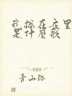 我总在夜里想你是什么歌