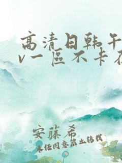 高清日韩午夜av一区不卡在线影院