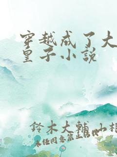 穿越成了大乾六皇子小说