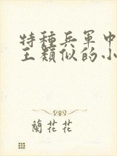 特种兵军中女阎王类似的小说