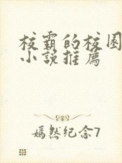 校霸的校园甜宠小说推荐