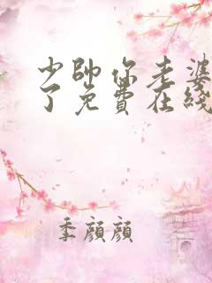 少帅你老婆又跑了免费在线阅读