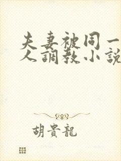 夫妻被同一个主人调教小说