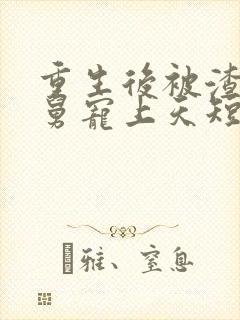 重生后被渣男舅舅宠上天短剧全集