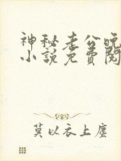 神秘老公晚上见小说免费阅读