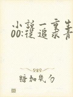 小说一重生2000:从追求青涩校花同桌开始