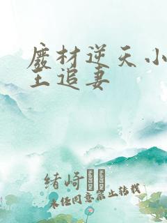 废材逆天小姐邪王追妻