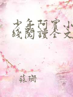 少年阿宾小说在线阅读全文无删减