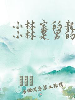 小林家的龙女仆小林是男的女的