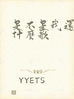 是不是我还在是什么歌