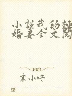 小说我的极品未婚妻全文阅读