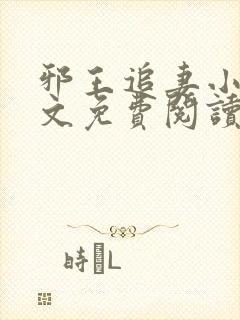 邪王追妻小说全文免费阅读全文