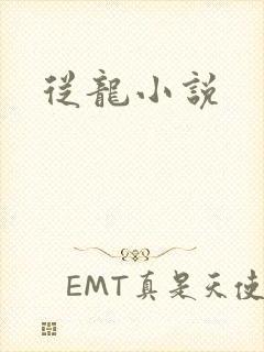 从龙小说