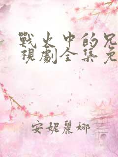 战火中的兄弟电视剧全集免费观看