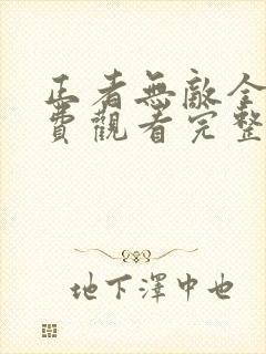 正者无敌全集免费观看完整版高清