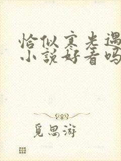 恰似寒光遇骄阳小说好看吗