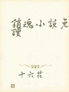 销魂小说免费阅读