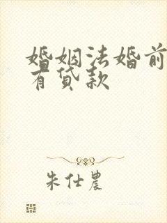 婚姻法婚前房产有贷款