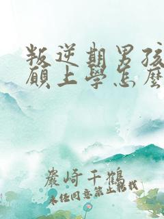 叛逆期男孩子不愿上学怎么办