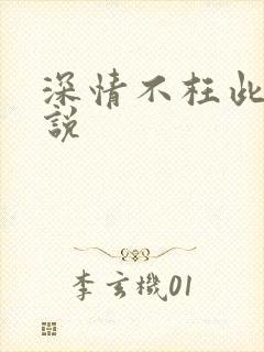 深情不枉此生小说