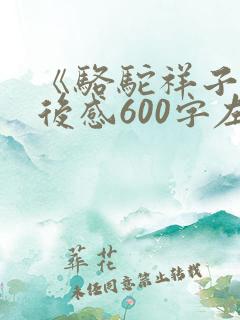 《骆驼祥子》读后感600字左右
