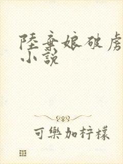 陆弃娘破虏将军小说