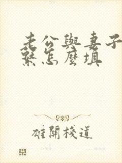 老公与妻子的关系怎么填