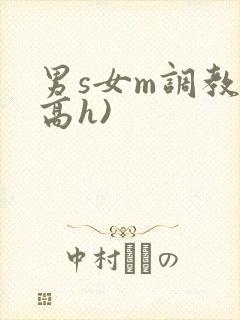 男s女m调教(高h)