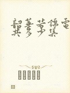 韶华若锦电视剧共多少集