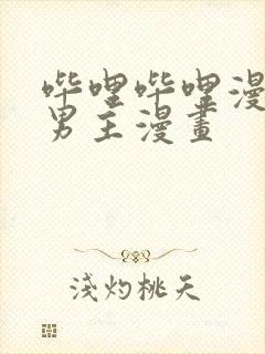 哔哩哔哩漫画双男主漫画