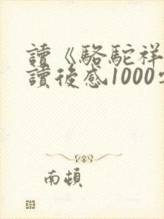读《骆驼祥子》读后感1000字
