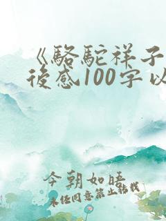 《骆驼祥子》读后感100字以内