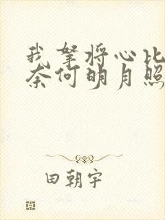 我拿将心比明月奈何明月照沟渠什么意思