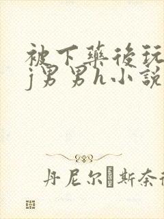 被下药后玩弄迷j男男h小说