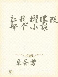 许我耀眼改编自哪个小说