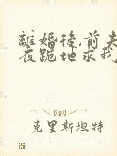 离婚后,前夫雨夜跪地求我复婚免费全