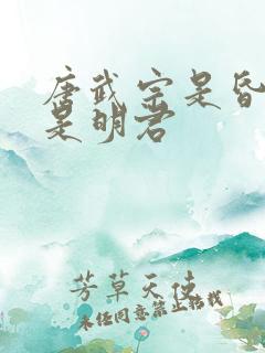 唐武宗是昏君还是明君