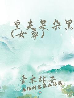 皇夫是朵黑莲花(女尊)