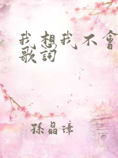我想我不会爱你歌词