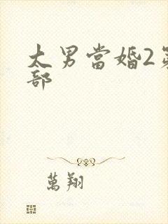 大男当婚2第二部