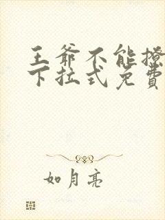 王爷不能撩漫画下拉式免费六漫画