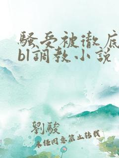 骚受被彻底草坏bl调教小说