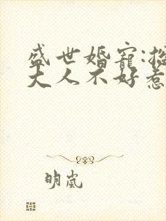 盛世婚宠:总裁大人不好惹 慕寒殿