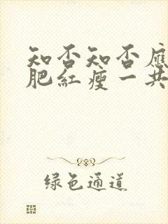 知否知否应是绿肥红瘦一共有多少集