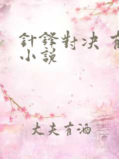 针锋对决 有声小说