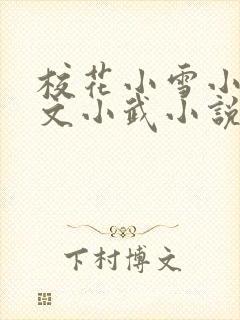 校花小雪小柔阿文小武小说